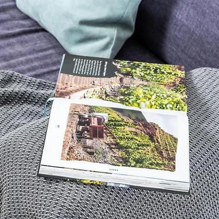 Apartman Weingut Dr Hermann I