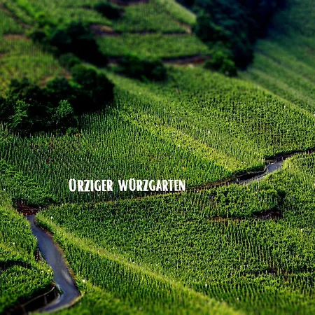 Weingut Dr Hermann I Appartement