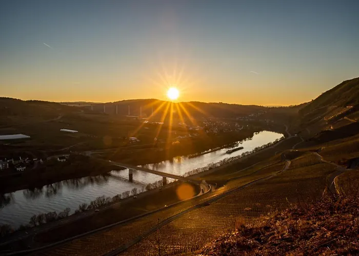 דירה Weingut Dr Hermann I *